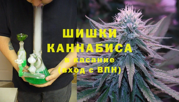 PSILOCYBIN Балабаново