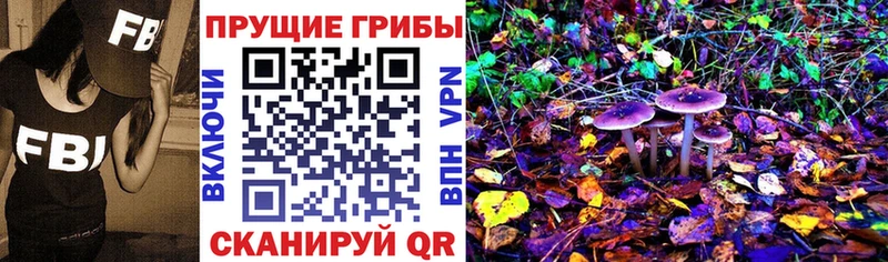 Псилоцибиновые грибы Psilocybe Кулебаки
